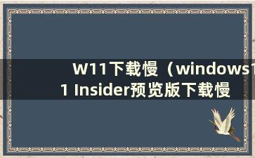 W11下载慢（windows11 Insider预览版下载慢）